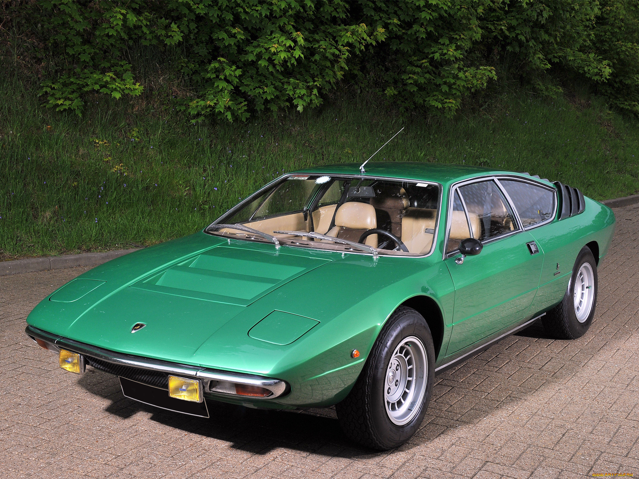 , lamborghini